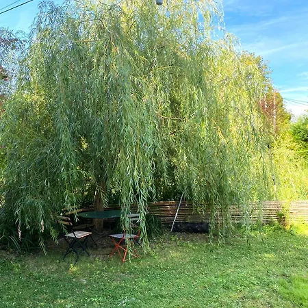 Ferienhaus La Du Moulin Aujac (Charente-Maritime)